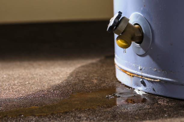 Best Emergency water extraction  in Northwest Harborcreek, PA