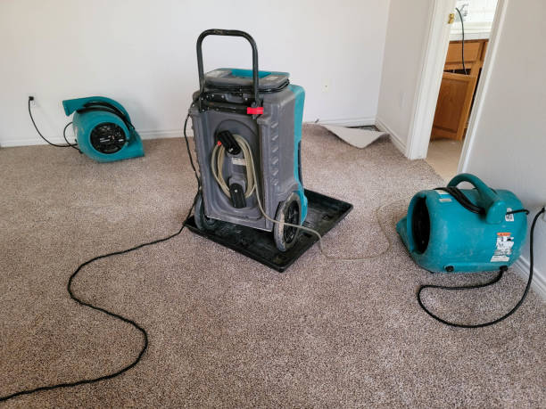 Best Flood damage cleanup  in Northwest Harborcreek, PA