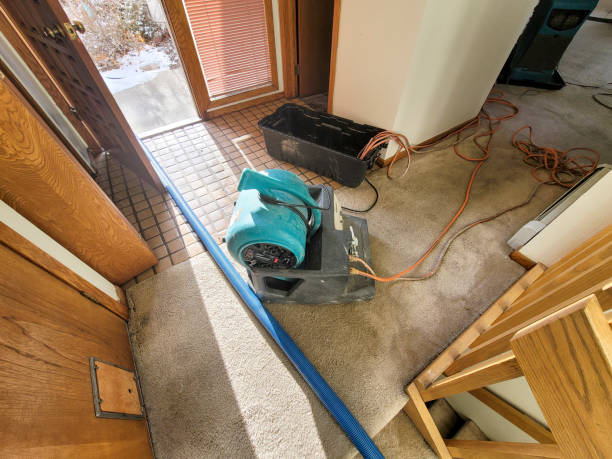 Best Flooded house restoration  in Northwest Harborcreek, PA