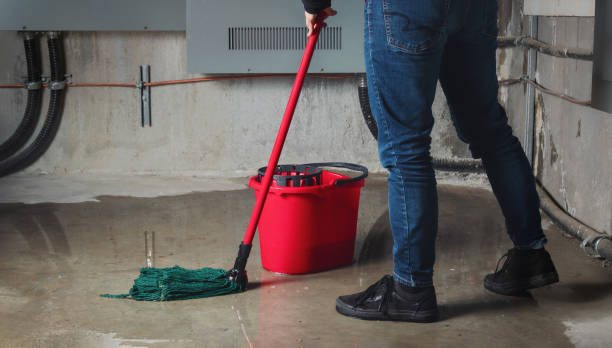 Best Ceiling water damage repair  in Northwest Harborcreek, PA