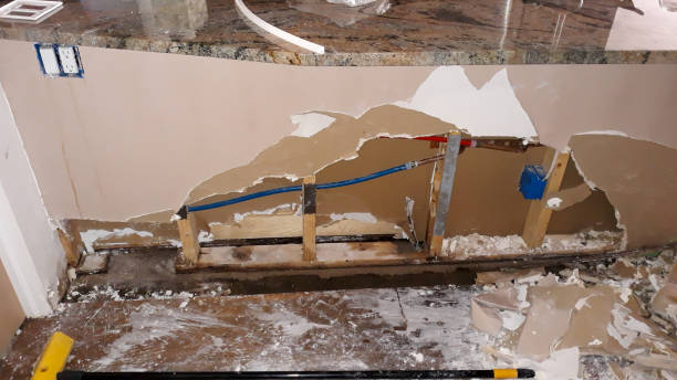 Best Professional water damage repair  in Northwest Harborcreek, PA