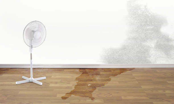 Best Basement water damage restoration  in Northwest Harborcreek, PA