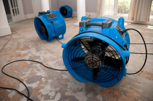 Best Carpet water damage restoration  in Northwest Harborcreek, PA