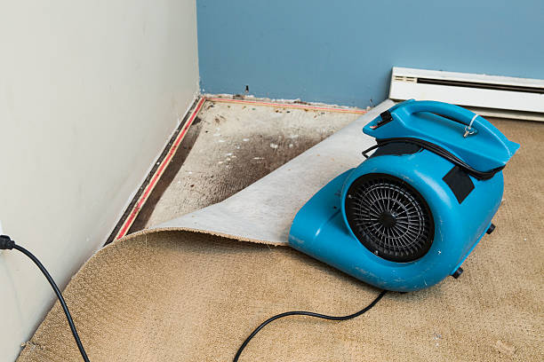 Best 24-hour water damage restoration  in Northwest Harborcreek, PA