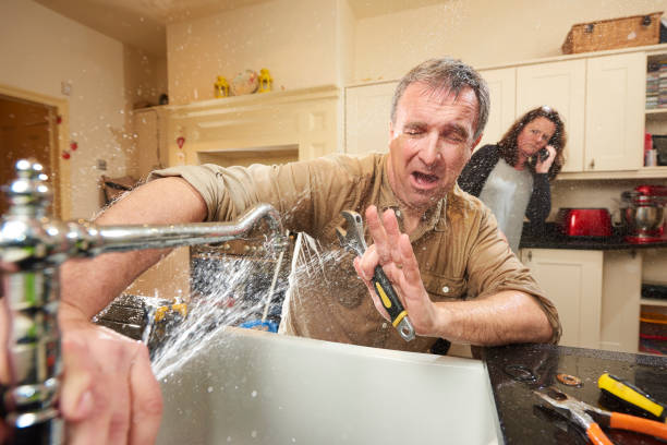Best Professional water damage repair  in Northwest Harborcreek, PA